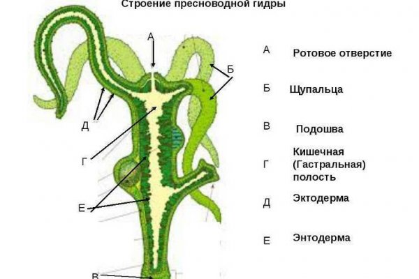 Кракен зеркало рабочее на сегодня